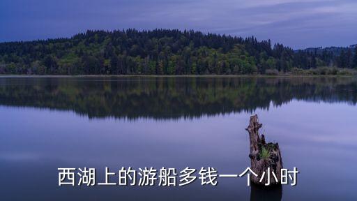 西湖環線游輪價格多少錢，西湖游船的價格...